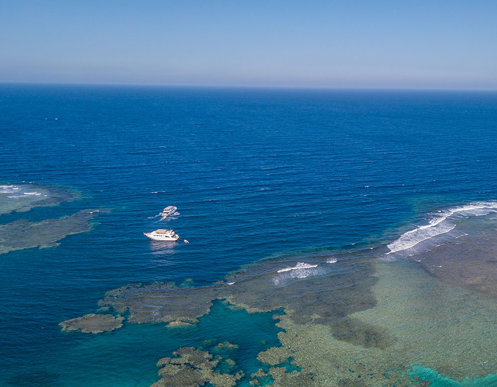 Diving & Snorkeling