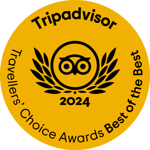TripAdvisor Award