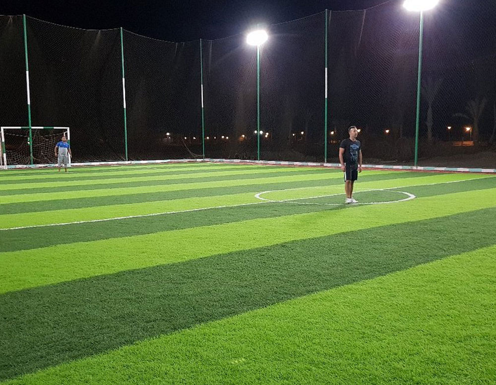 Sports and Recreation