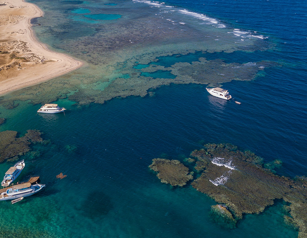 Diving & Snorkeling